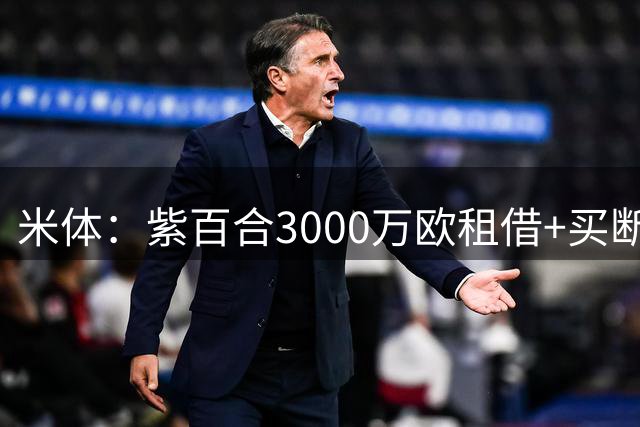 米体：紫百合3000万欧租借+买断报价齐尔克泽，尤文退出竞争